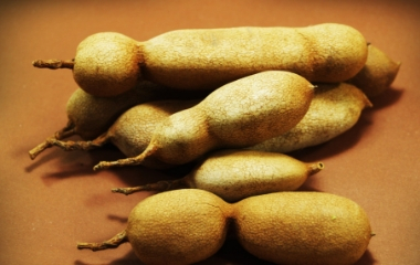 Tamarind Manufacturer and Exporter from India